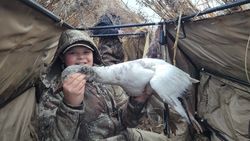 Kids first Snow Goose